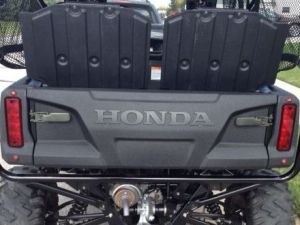 Street Legal Honda Pioneer